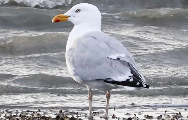 Fotokurs Fortgeschrittene Wuppertal - 5