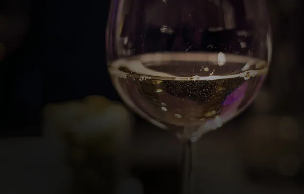 Dinner in the Dark in Wien - 6