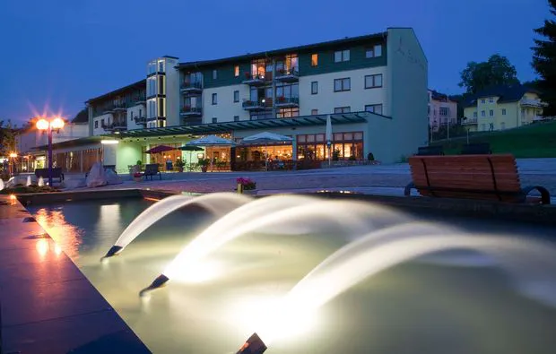 Ayurvedische Ganzkörpermassage  Schlema - 5