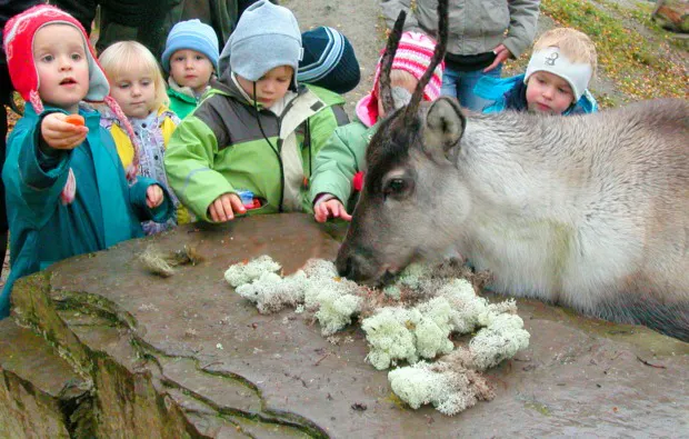 Rentier-Tour Hofgeismar für 2 - 5