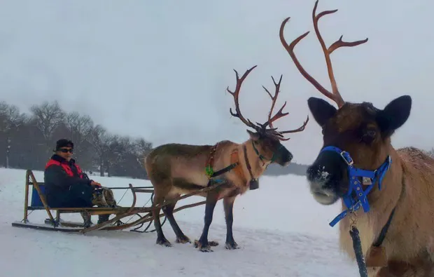 Rentier-Tour Hofgeismar für 2 - 7