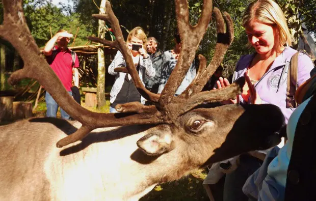 Rentier-Tour Hofgeismar für 2 - 8