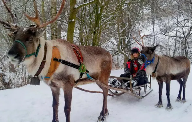 Rentier-Tour Hofgeismar für 2 - 9