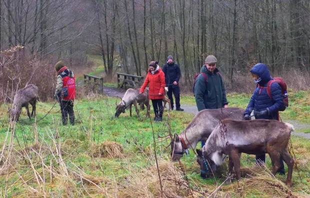 Rentier-Tour Hofgeismar für 2 - 10