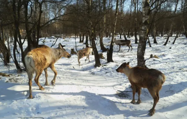 Rentier-Tour Hofgeismar für 2 - 12