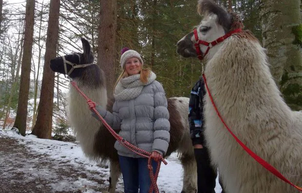 Lama-Trekking Fuchstal (2,5 Std.) - 1