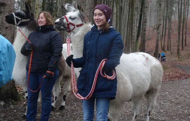 Lama-Trekking Fuchstal (2,5 Std.) - 3