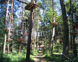 Hochseilgarten Anif - 6