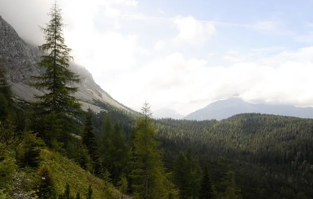 Landschaftsfotografie-Workshop München - 7