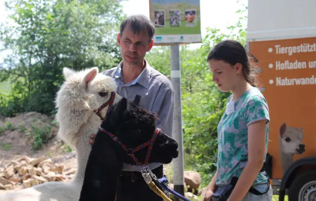 Alpaka Wanderung Hamberge für 2 - 5