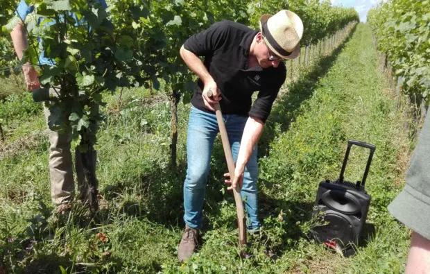 Weinreise Rohrbach für 2 (1 Nacht) - 5