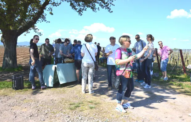 Weinreise Rohrbach für 2 (1 Nacht) - 6