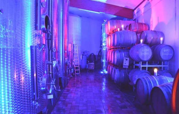 Weinreise Rohrbach für 2 (1 Nacht) - 8