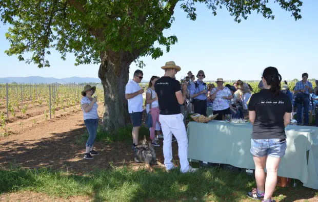 Weinreise Rohrbach für 2 (1 Nacht) - 12