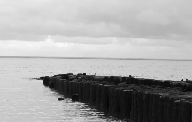 Fotokurs Einsteiger Dortmund - 6