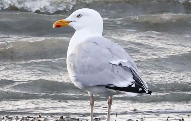 Fotokurs Einsteiger Dortmund - 7