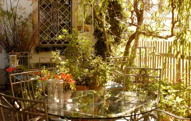 Candle Light Dinner für 2 Dresden - 5