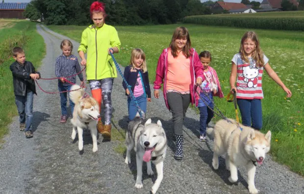 Husky Workshop Thanstein - 7