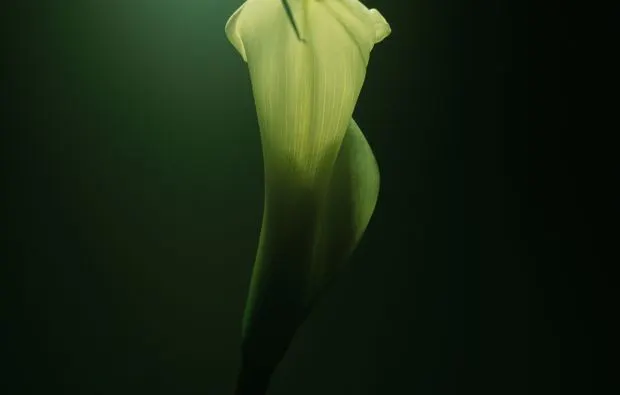 Fotografie- Workshop Einzelcoaching München - 5