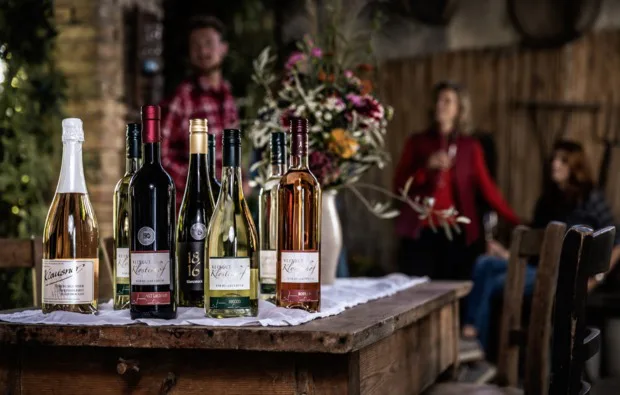 Weinbergwanderung mit Verkostung Worms - 1