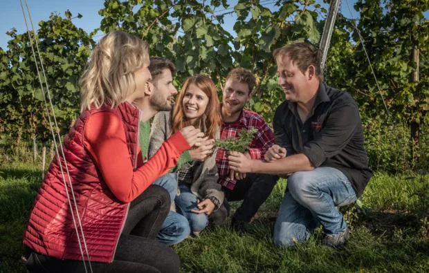 Weinbergwanderung mit Verkostung Worms - 3