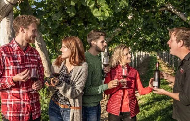 Weinbergwanderung mit Verkostung Worms - 5