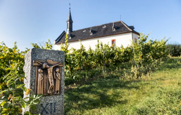 Weinbergwanderung mit Verkostung Worms - 6