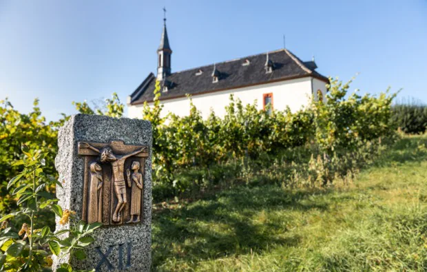 Weinbergwanderung mit Verkostung Worms - 6