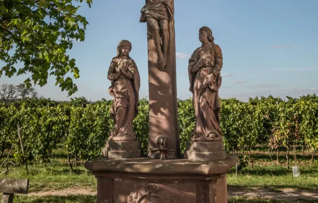 Weinbergwanderung mit Verkostung Worms - 7