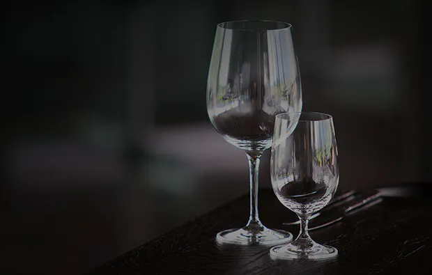 Dinner in the Dark in Linz - 6