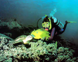 Tauchkurs Scootertauchen Graz - 8