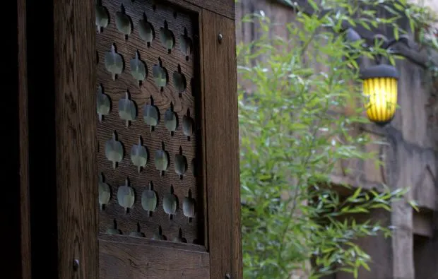 Fotokurs "Erlebnis-Zoo" Hannover - 5