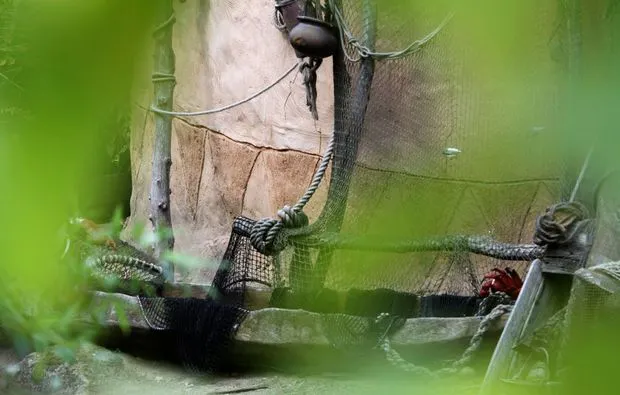 Fotokurs "Erlebnis-Zoo" Hannover - 6