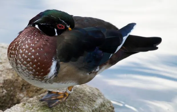 Fotokurs "Erlebnis-Zoo" Hannover - 8