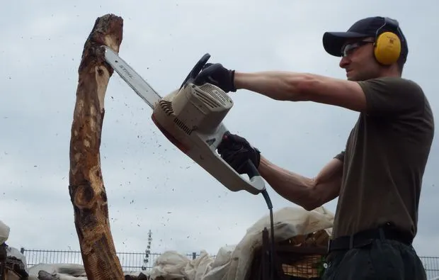 Bildhauer-Workshop mit der Kettensäge Ettlingen - 8