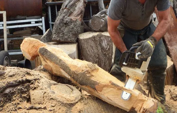 Bildhauer-Workshop mit der Kettensäge Ettlingen - 10