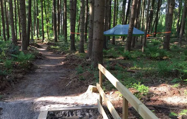 Außergewöhnlich Übernachten im Baumzelt Harkebrügge für 3 (1 Nacht) - 5