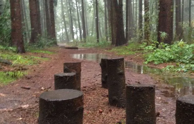 Außergewöhnlich Übernachten im Baumzelt Harkebrügge für 3 (1 Nacht) - 7