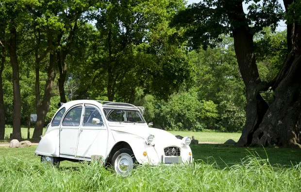 Oldtimer Selber Fahren für 2 Hengelo - 5