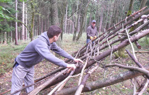 Survival Tag für 2 Benneckenstein - 6