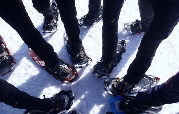 Schneeschuh-Wanderung Bad Hindelang - 7