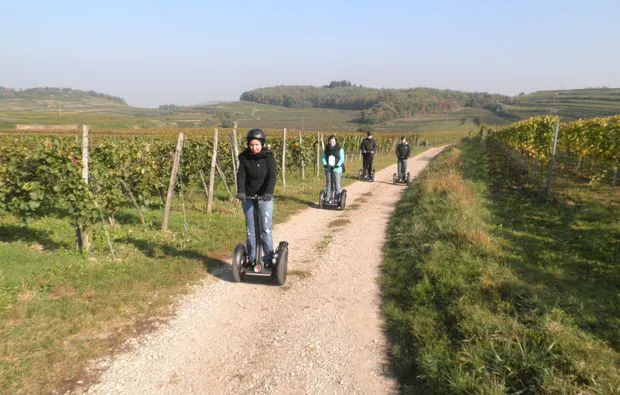 Segway Tour in Vogtsburg am Kaiserstuhl - 5