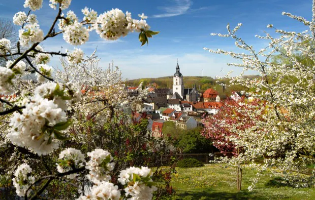 Kulinarische Reise Meerane für 2 (1 Nacht) - 16