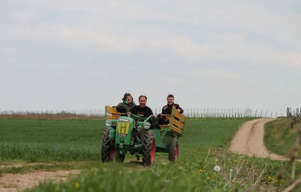 Weinbergsrundfahrt Guldental  (mit Holder- & Weinverkostung) - 5