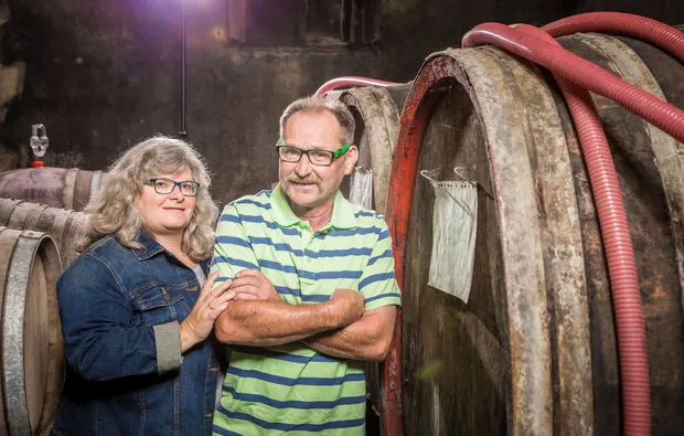 Weinbergsrundfahrt Guldental  (mit Holder- & Weinverkostung) - 10