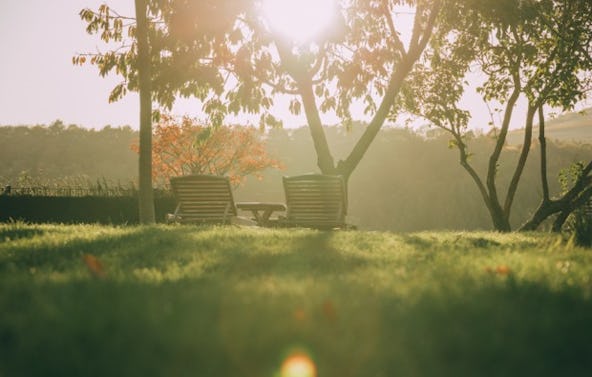 Weinreise Niederhausen für 2 ( 2 Nächte)