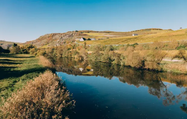 Weingut-Kurzurlaub an der Nahe für 2 (2 Nächte) - 5