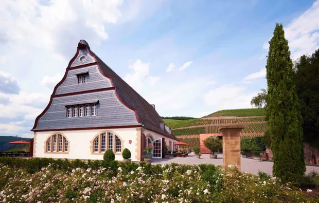 Weingut-Kurzurlaub an der Nahe für 2 (2 Nächte) - 9