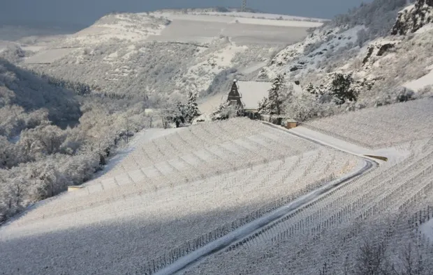 Weingut-Kurzurlaub an der Nahe für 2 (2 Nächte) - 11
