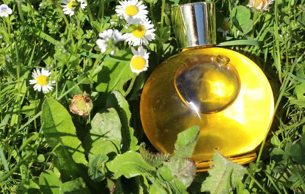 Naturkosmetik selber herstellen Pliezhausen (Puder/Creme) - 6